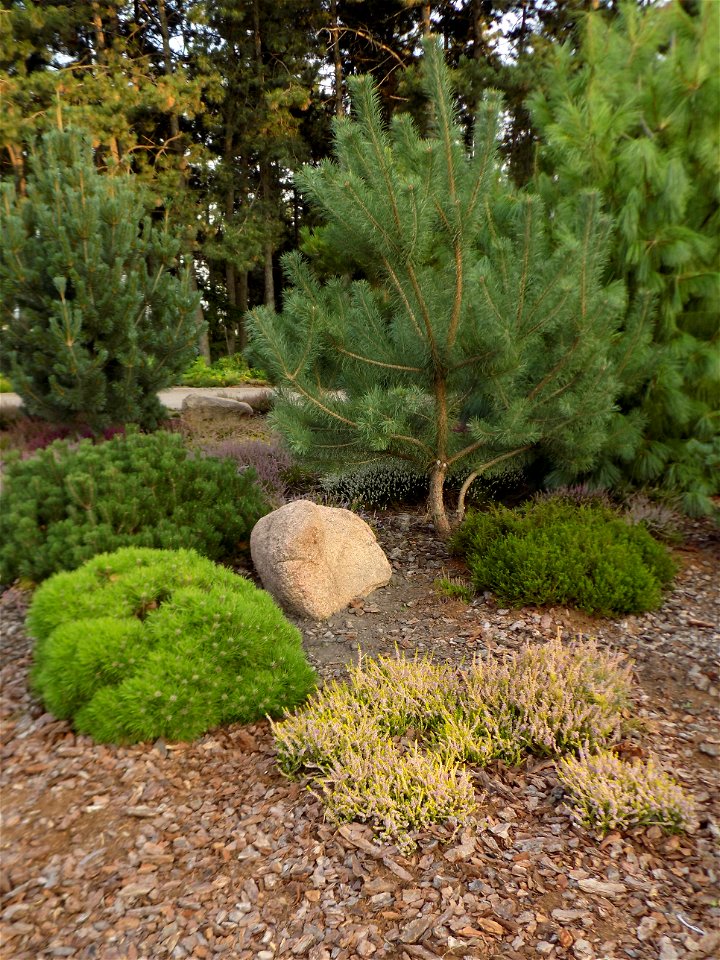 Hryshko National Botanical Garden