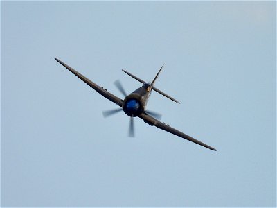 Hawker Sea Fury