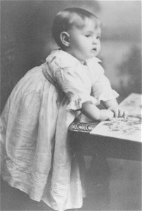 Studio portrait of a baby photo