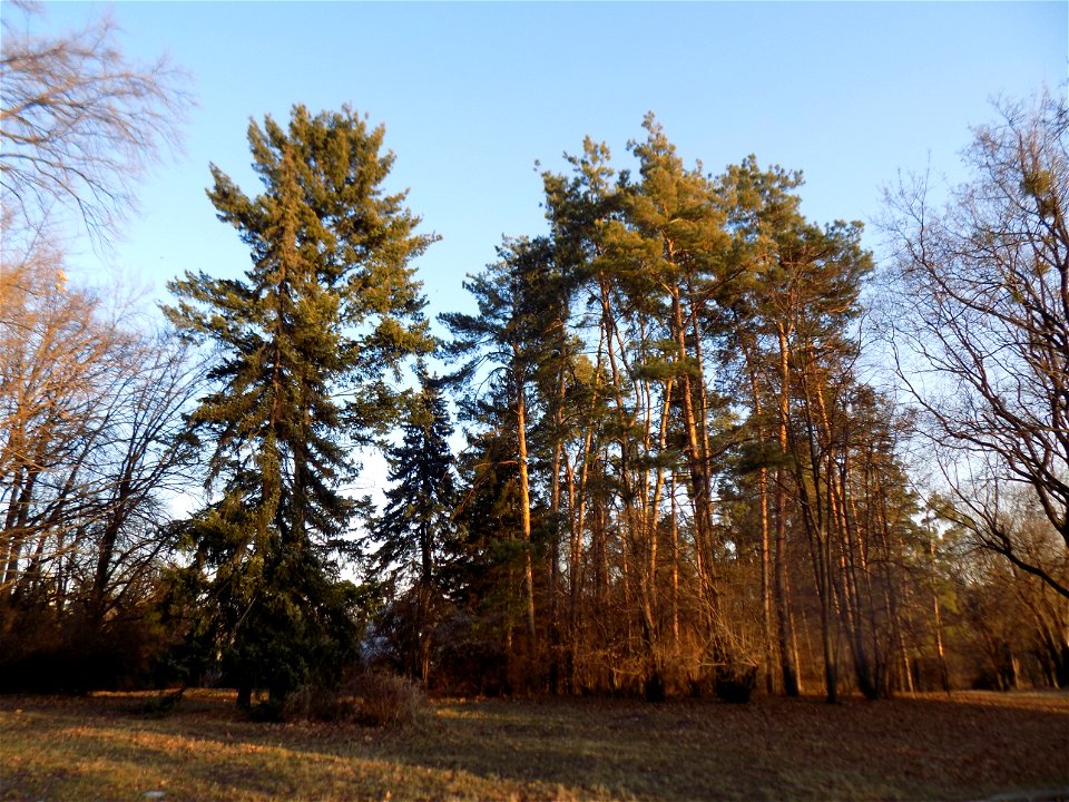 Hryshko National Botanical Garden