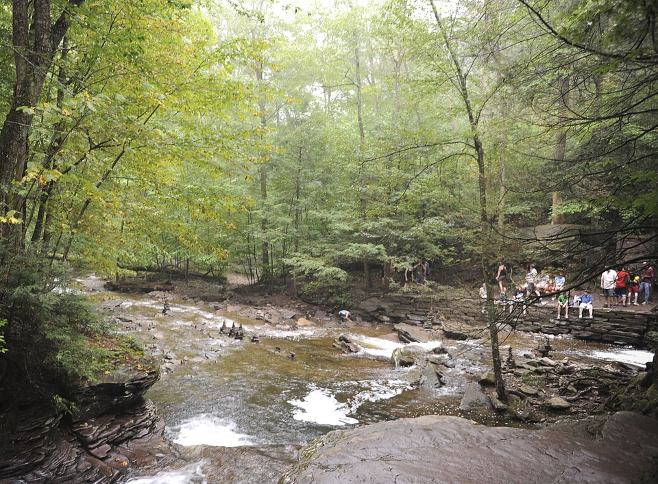 Ricketts Glen State Park