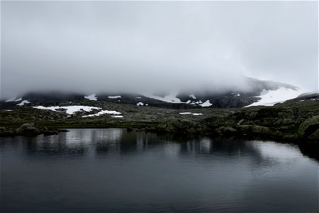 IMG_8265