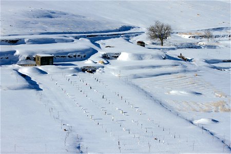 جاذبه های گردشگری ایران