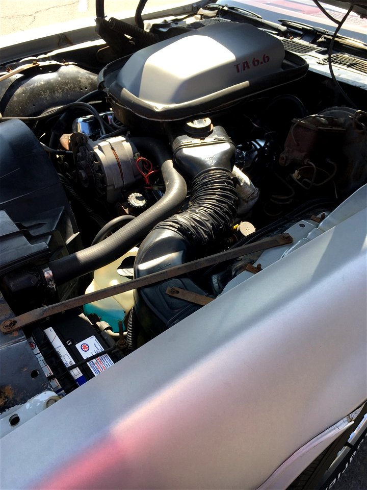 Under the hood of a Pontiac Trans Am