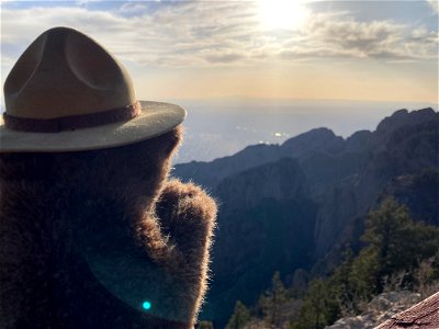 Smokey Bear