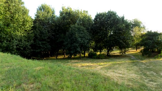 Hryshko National Botanical Garden