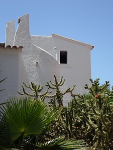 Mediterranean south limed
