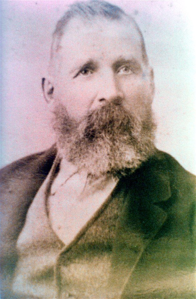 Bearded gentleman, [n.d.]