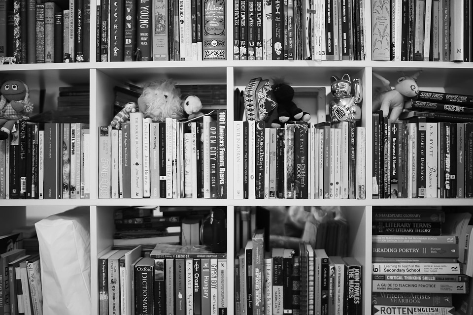 Bookshelf background photo