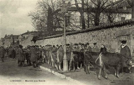 Limoges.Marché aux boeufs