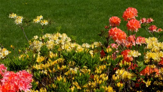 Hryshko National Botanical Garden