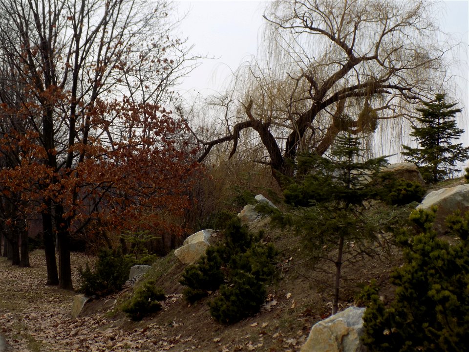 Hryshko National Botanical Garden