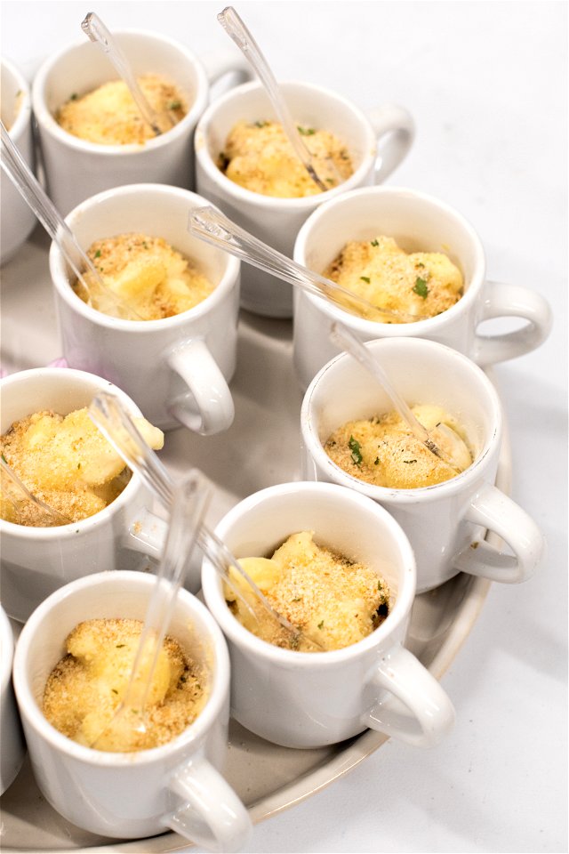Shrimp Alfredo Demi Cup
