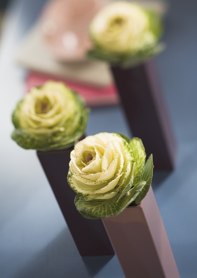 beautiful fall decorating with flowering cabbage