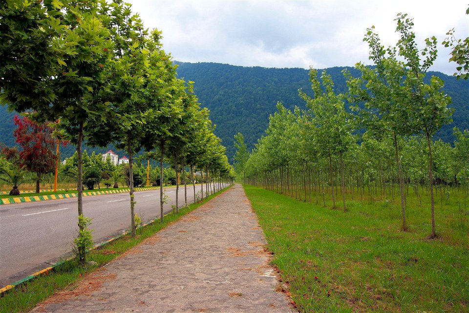 جاذبه های گردشگری ایران