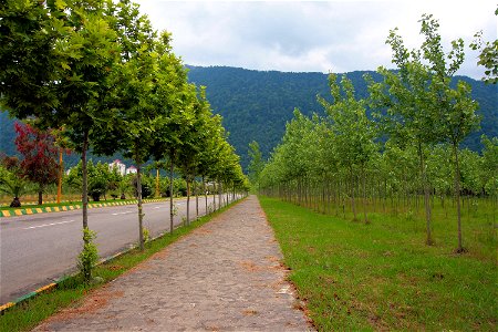 جاذبه های گردشگری ایران