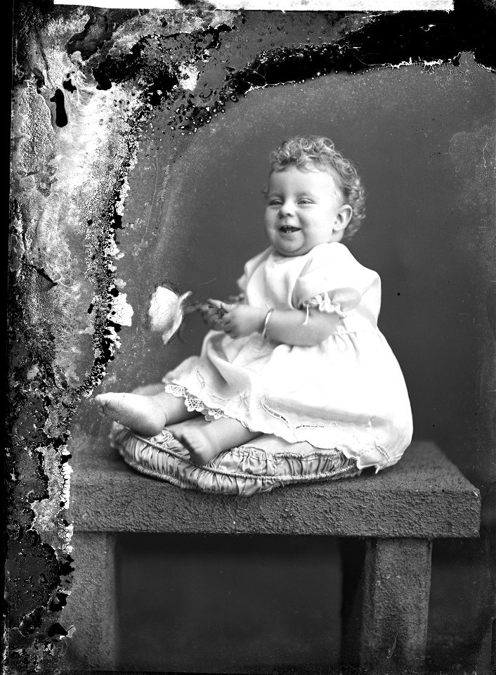 A baby with a rose, n.d.