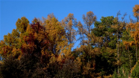 Hryshko National Botanical Garden