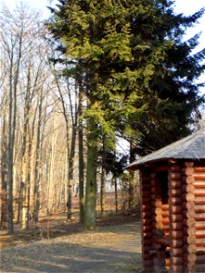 Hryshko National Botanical Garden