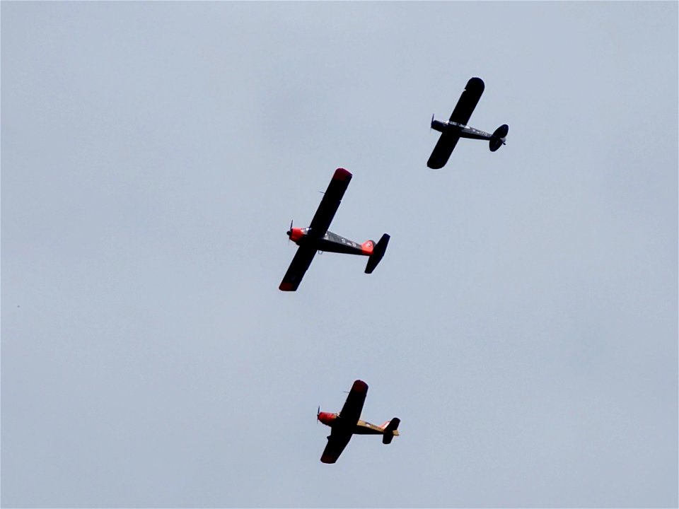 Cub, Beaver en Fokker S-11 KLuHV photo