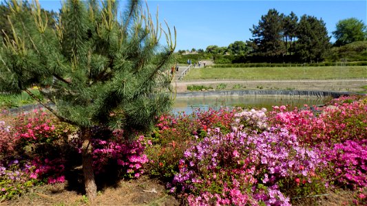 Hryshko National Botanical Garden