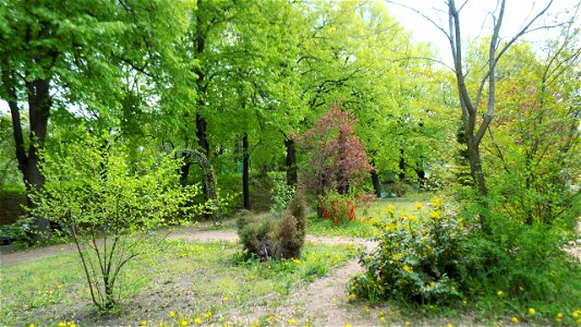 Hryshko National Botanical Garden