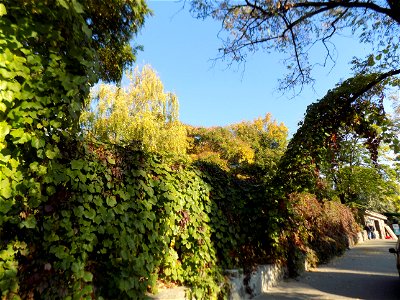 Hryshko National Botanical Garden