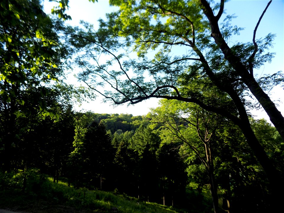 Hryshko National Botanical Garden