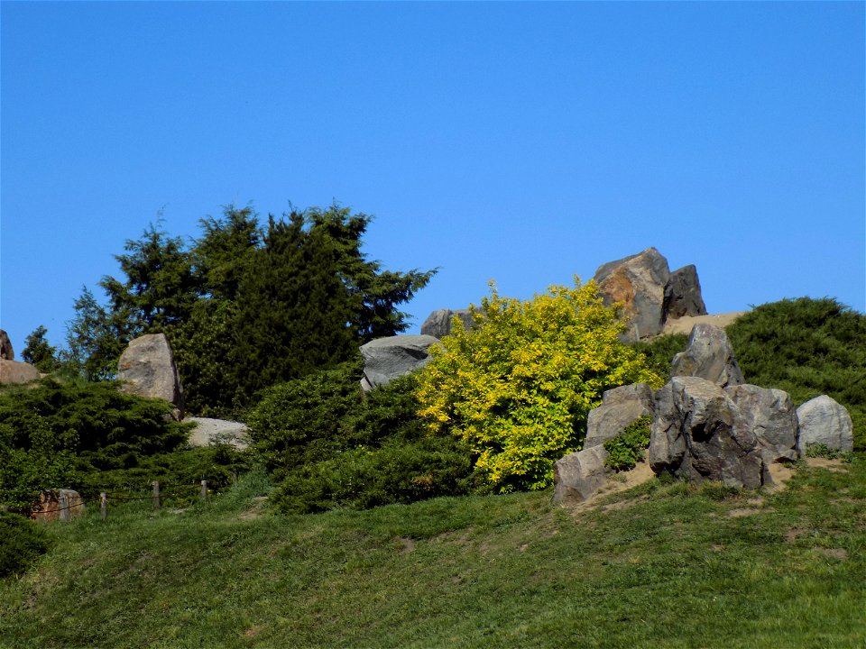 Hryshko National Botanical Garden