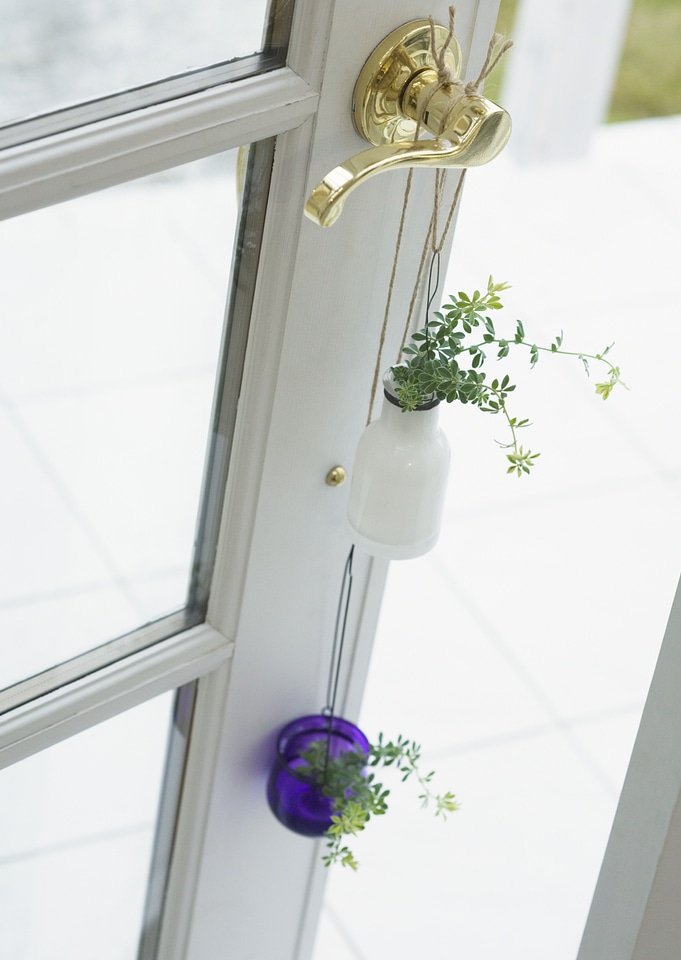 plants Pots hanging on the door ring
