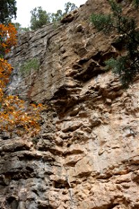 20181030-FS-CIB-MountainairRD-033