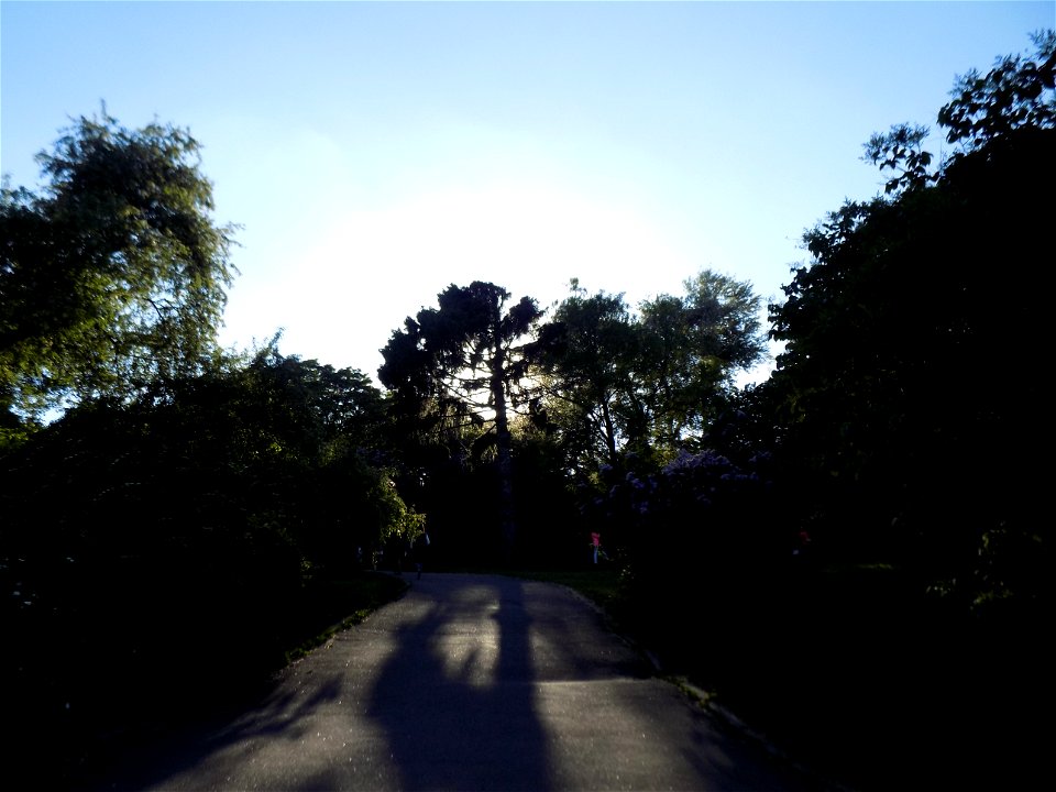 Hryshko National Botanical Garden