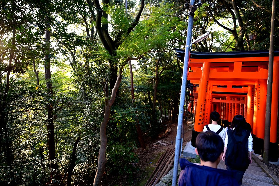 伏見稲荷/Fushimi Inari Shrine
