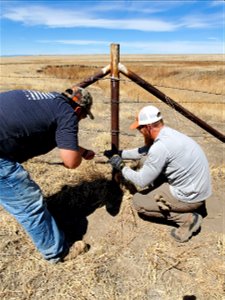 Fence Modification for Pronghorn Passage