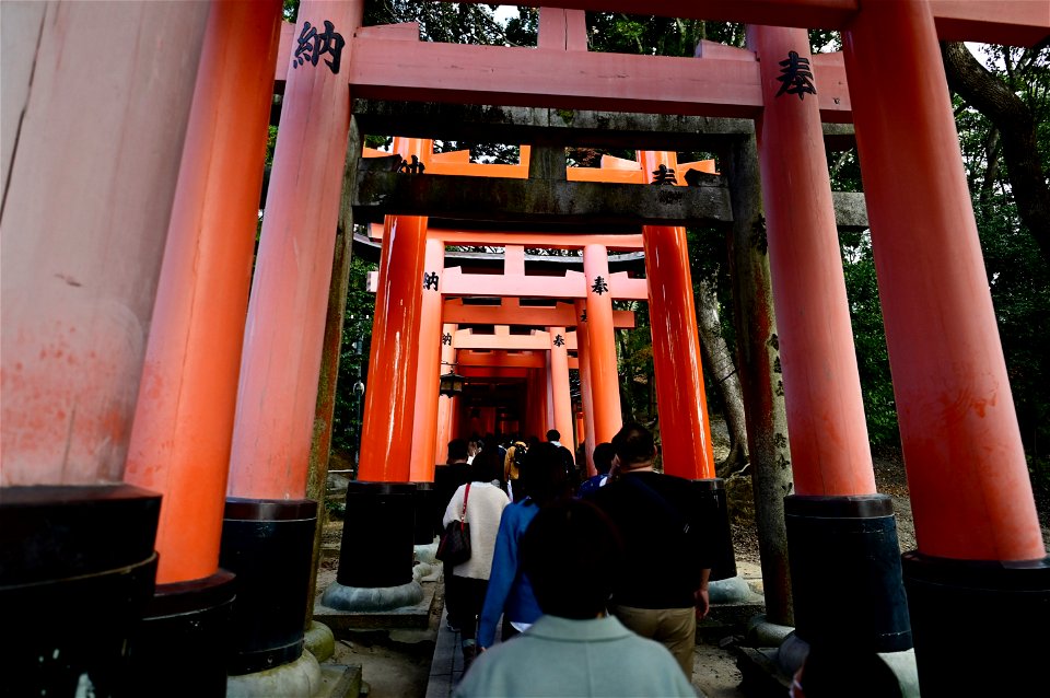 伏見稲荷/Fushimi Inari Shrine