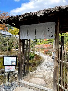 IMG_3666