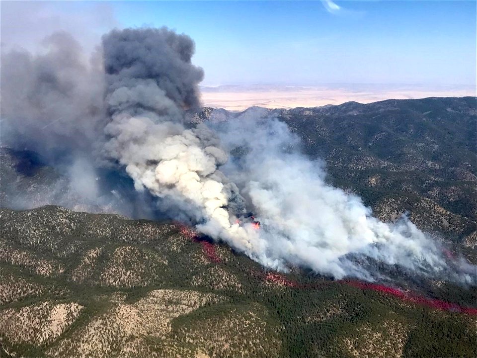 Magdalena RD Bear Trap Fire 2022