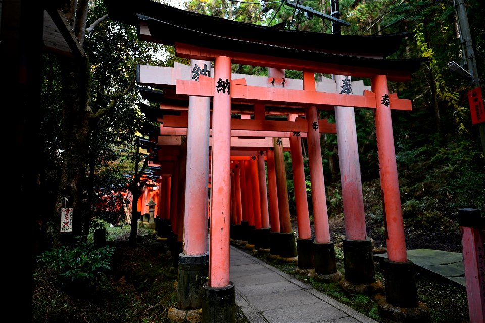 伏見稲荷/Fushimi Inari Shrine