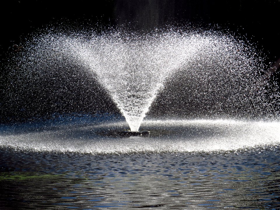 Beacon Hill Park Fountain