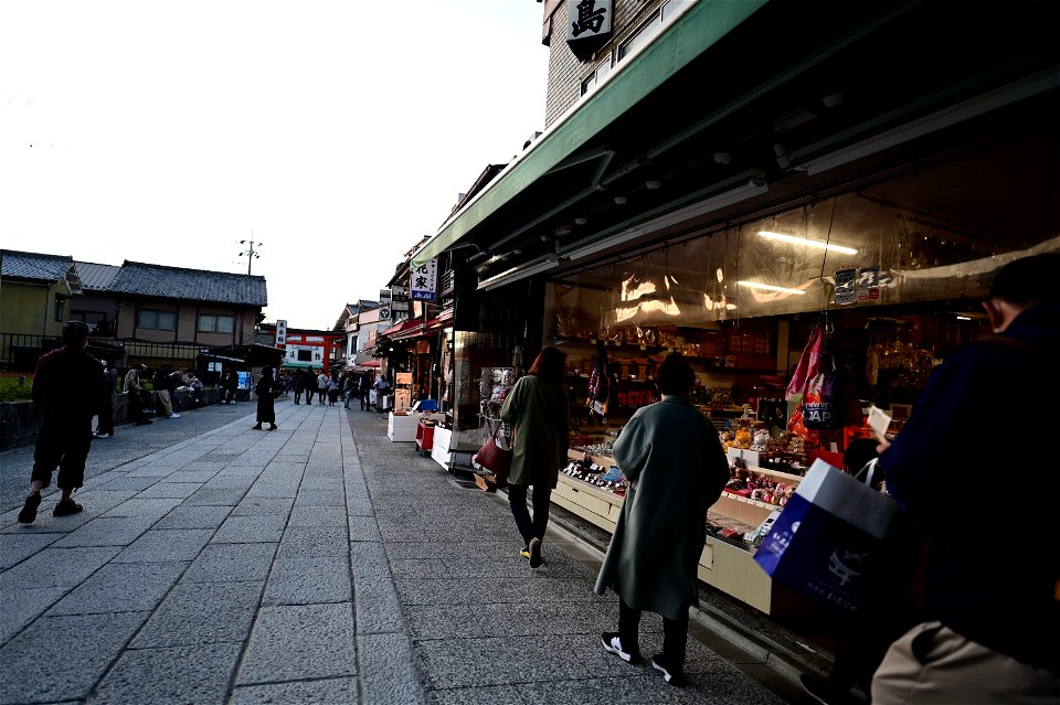 伏見稲荷/Fushimi Inari Shrine