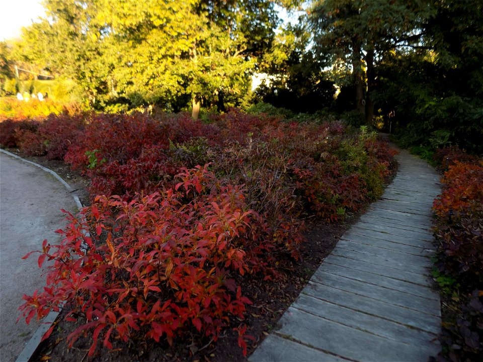 Hryshko National Botanical Garden