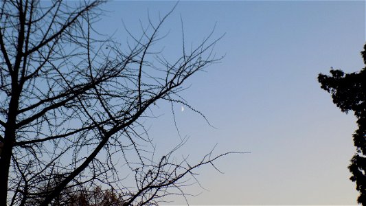 Hryshko National Botanical Garden