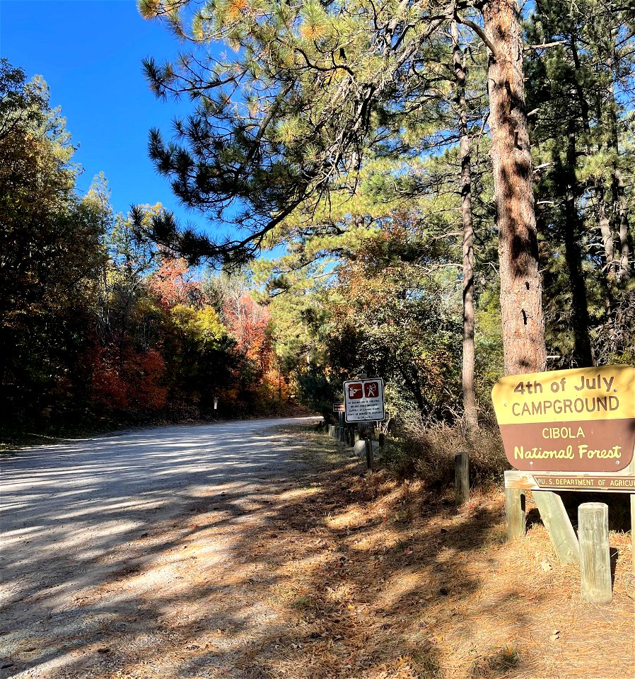 Fall Colors on Mountainair Ranger District