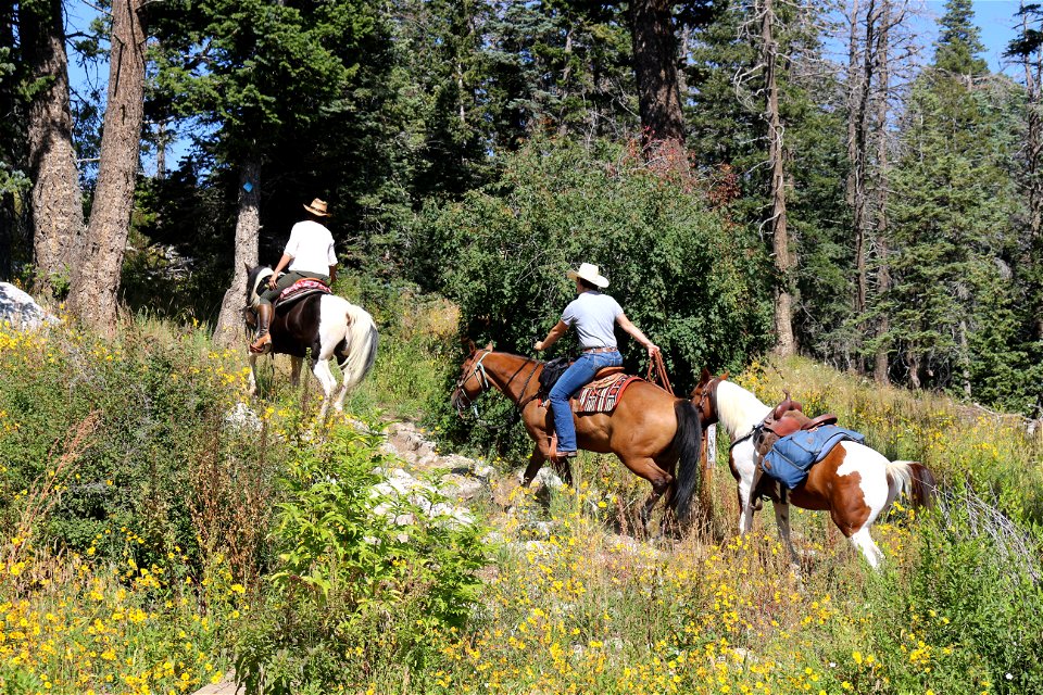 Horseback Riding on Sandia Ranger District