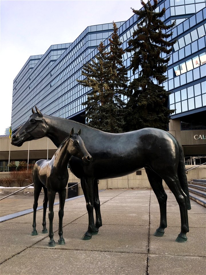Horse art at Calgary City Hall