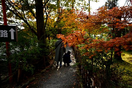 京都龍安寺/Kyoto Ryoanji