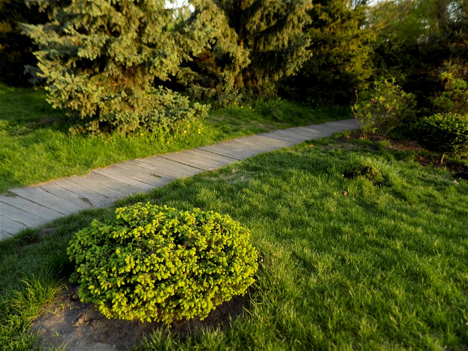 Hryshko National Botanical Garden
