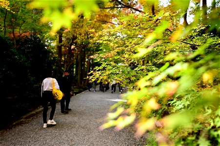 京都龍安寺/Kyoto Ryoanji
