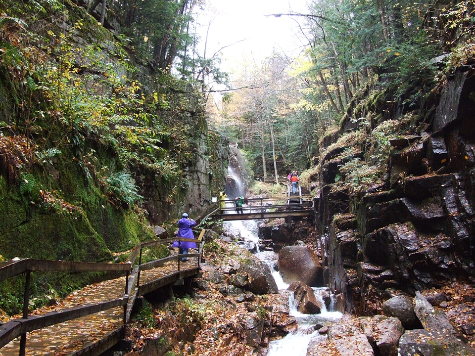 White Mountain National Forest