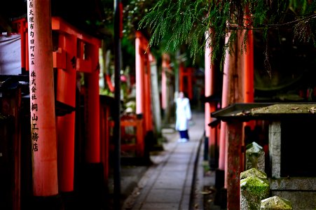 伏見稲荷/Fushimi Inari Shrine